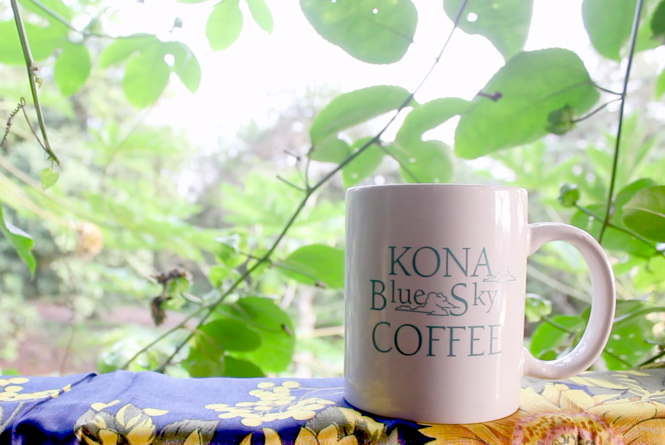 Las mejores granjas de café de la isla grande de Hawaii - 7