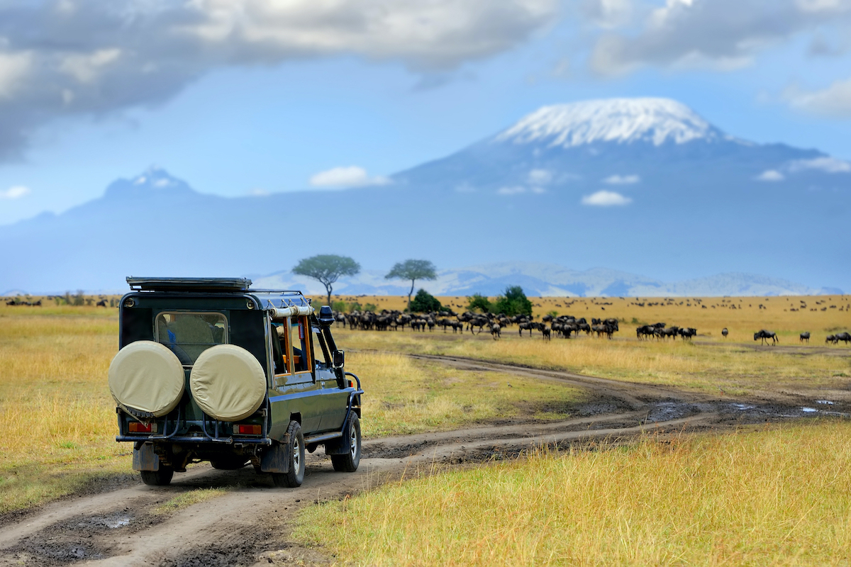 10 mejores parques de safari para visitar en África - 19