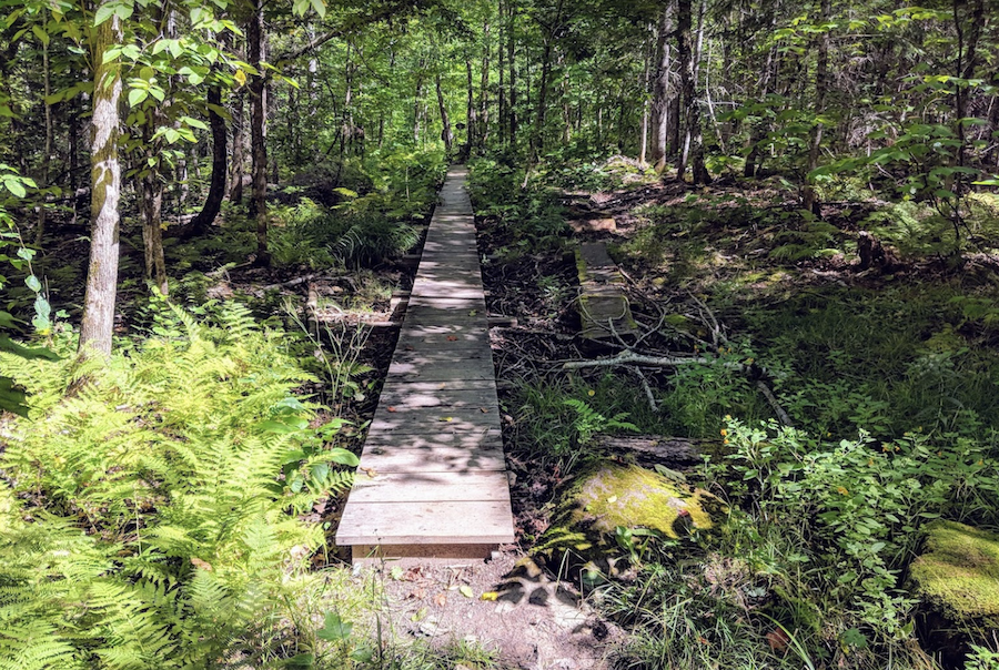 7 mejores caminatas en Beautiful Maine - 17