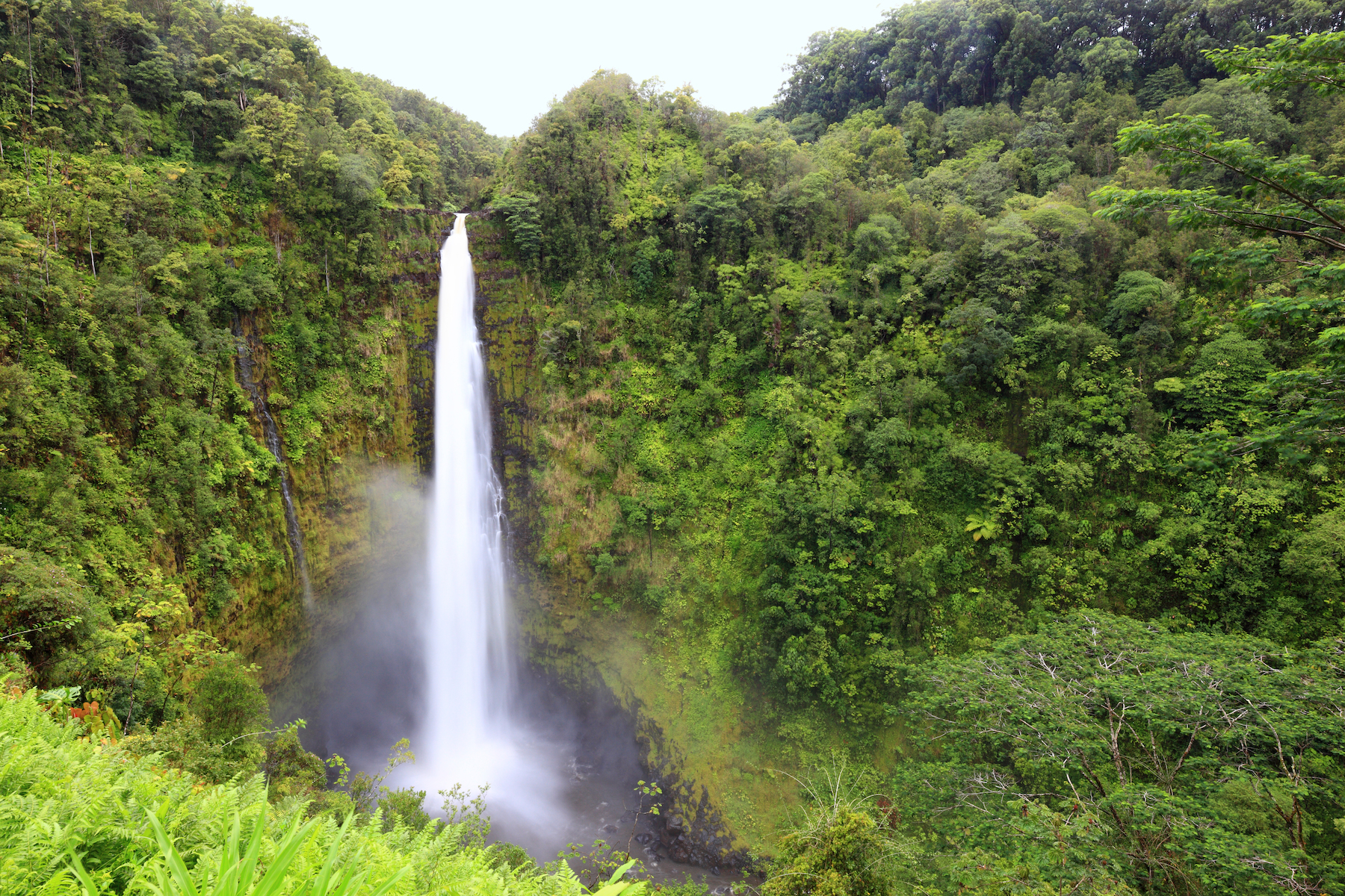 11 mejores caminatas en impresionante Hawaii - 21