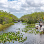6 cosas que hacer en el Parque Nacional Everglades