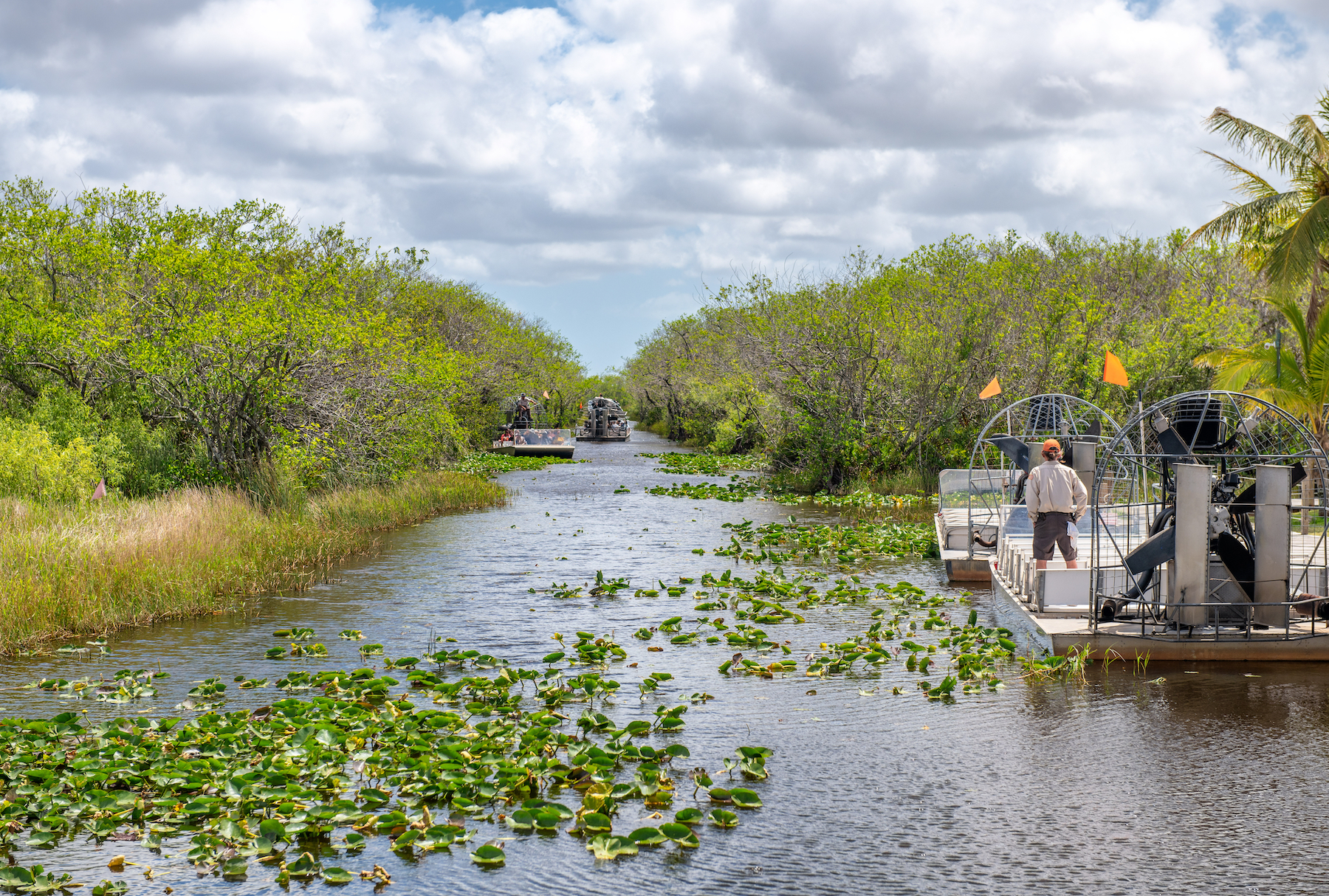 6 cosas que hacer en el Parque Nacional Everglades - 3