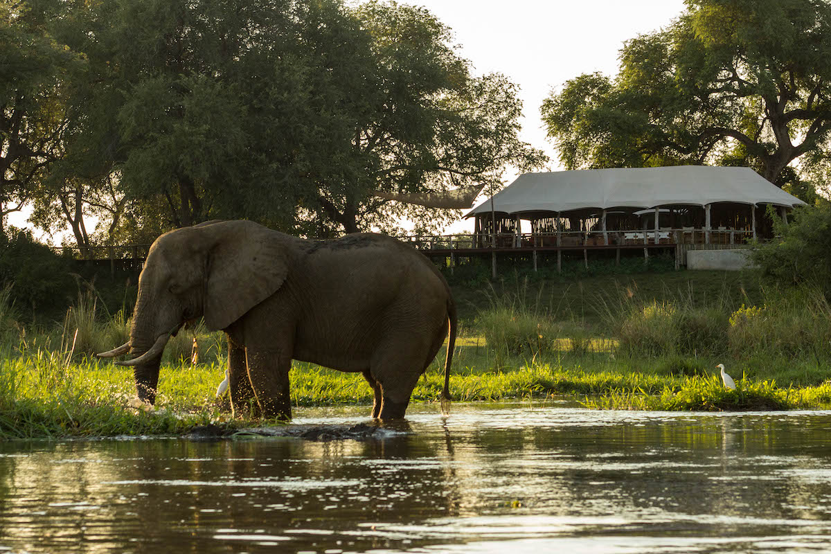 10 mejores parques de safari para visitar en África - 11