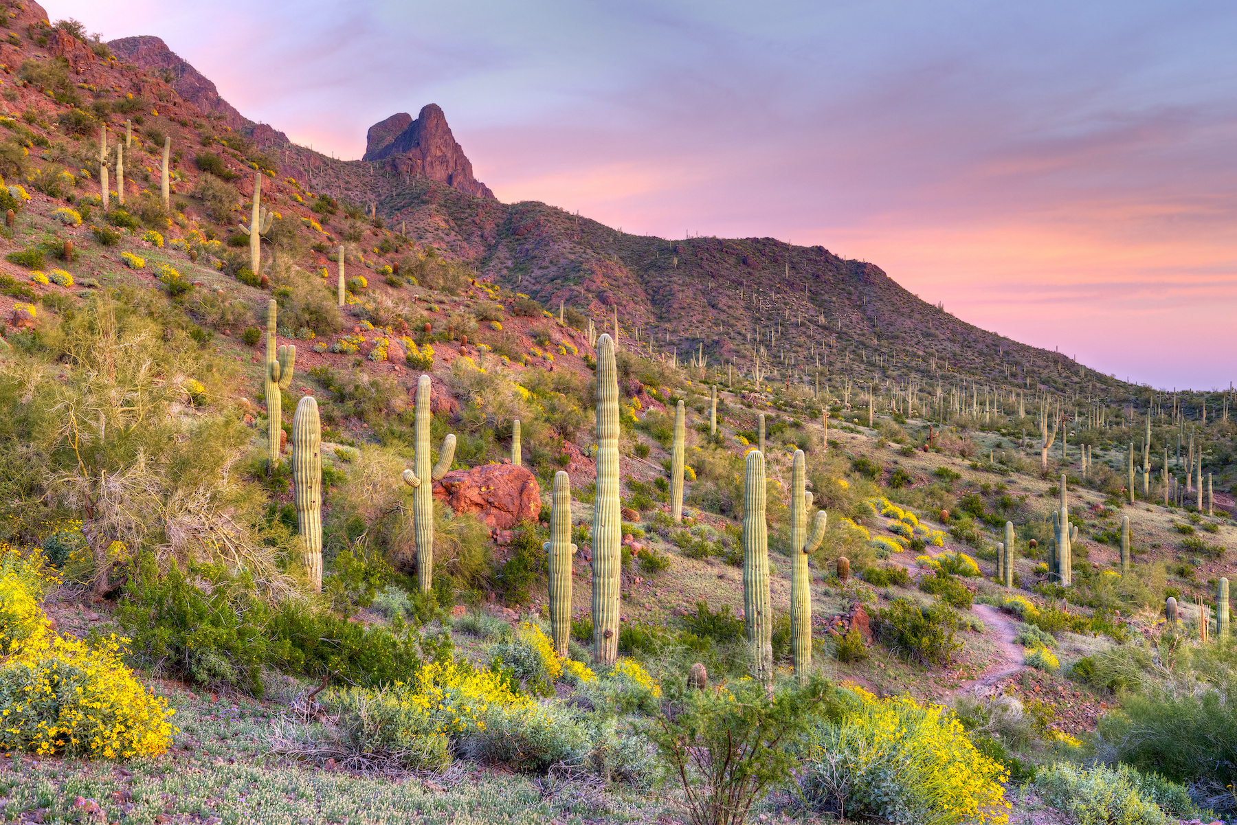 Phoenix a Tucson: un hermoso viaje por carretera Desert - 15