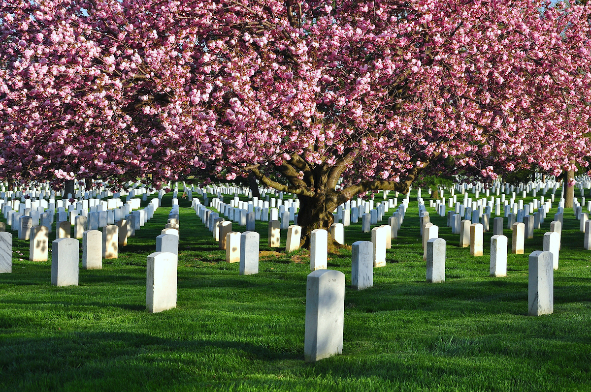 6 cementerios más interesantes para visitar en los EE. UU. - 7