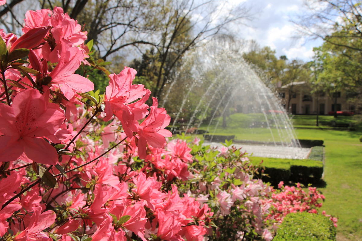 15 mejores paradas durante una gira de primavera de Azalea y flores silvestres en el este de Texas - 13