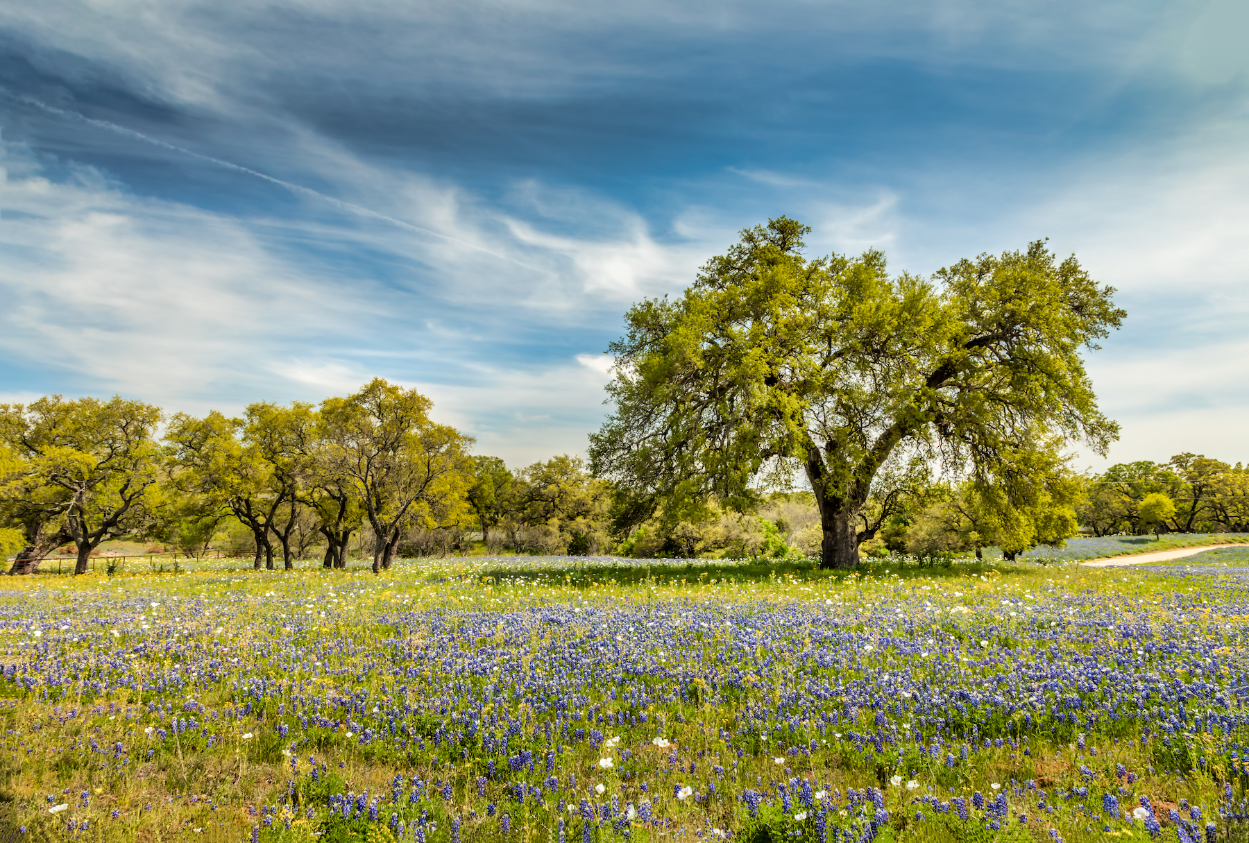 10 pueblos pintorescos de Texas que debe visitar - 7