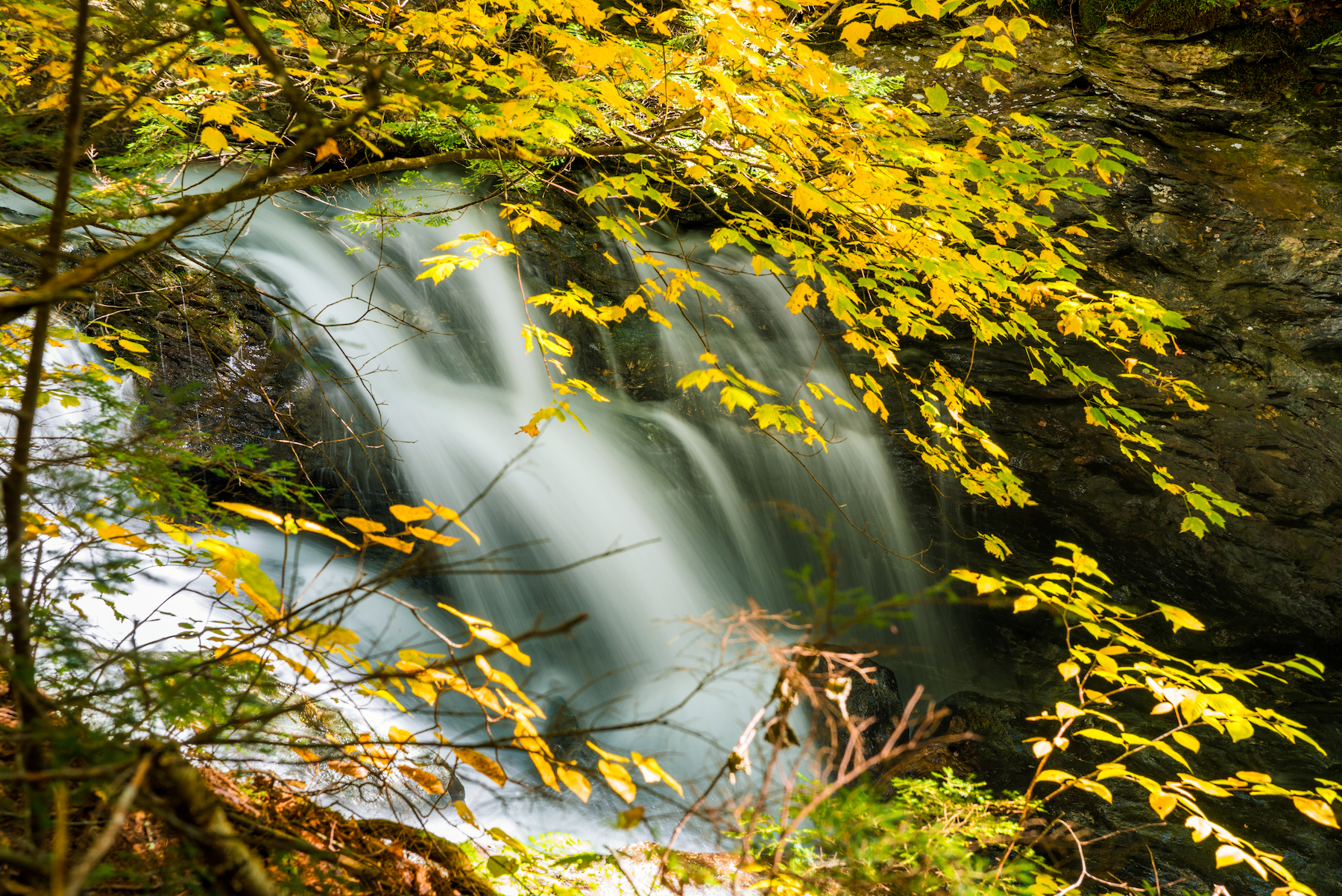 El viaje perfecto para el follaje de Vermont Fall - 7