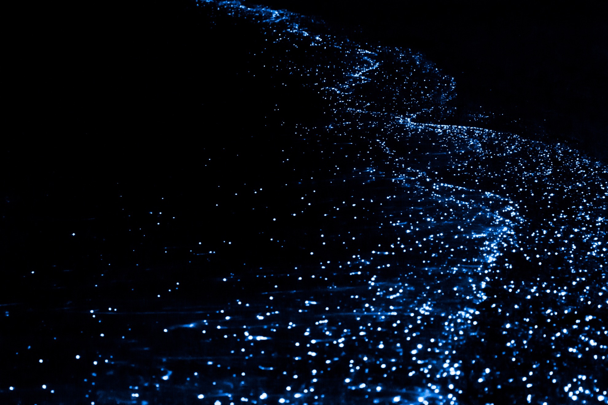 Esta playa en las Maldivas realmente brilla en la oscuridad - 9