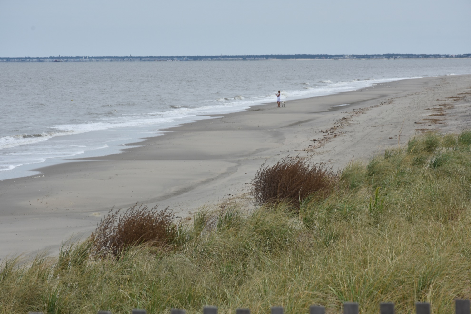 Las mejores y más hermosas playas de Delaware para visitar - 11