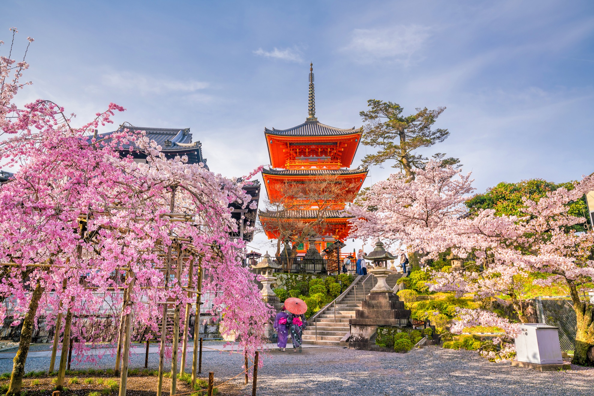 Temporada de Cherry Blossom en Japón: 10 cosas que saber - 7