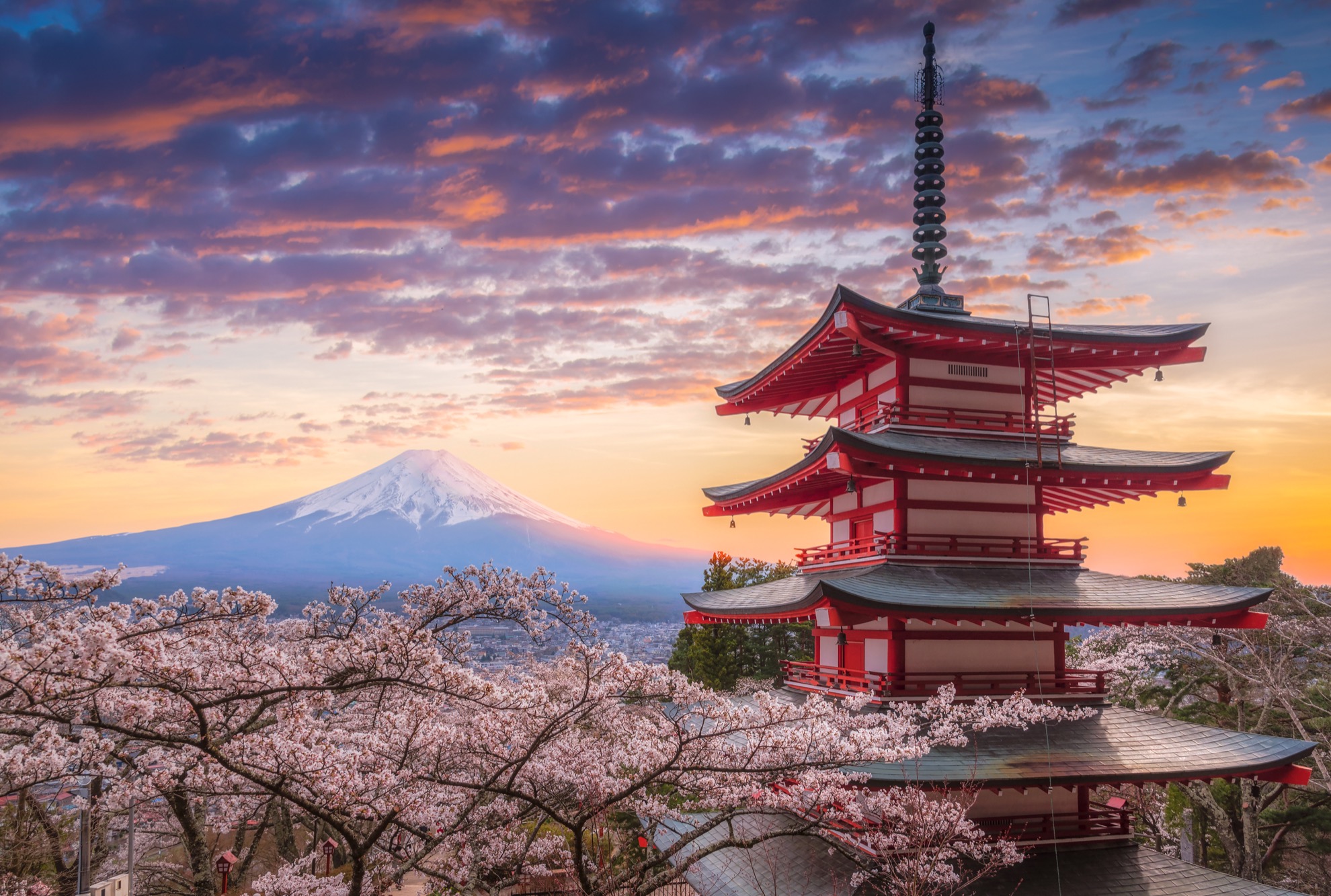 Temporada de Cherry Blossom en Japón: 10 cosas que saber - 17