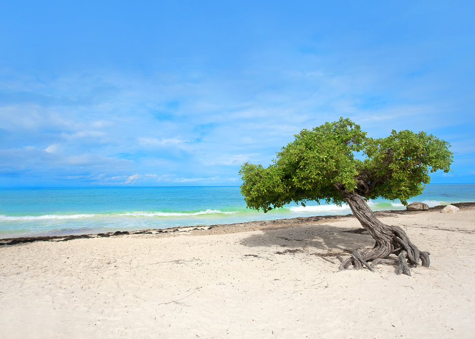 Las 10 mejores playas del Caribe para un escape relajante - 11