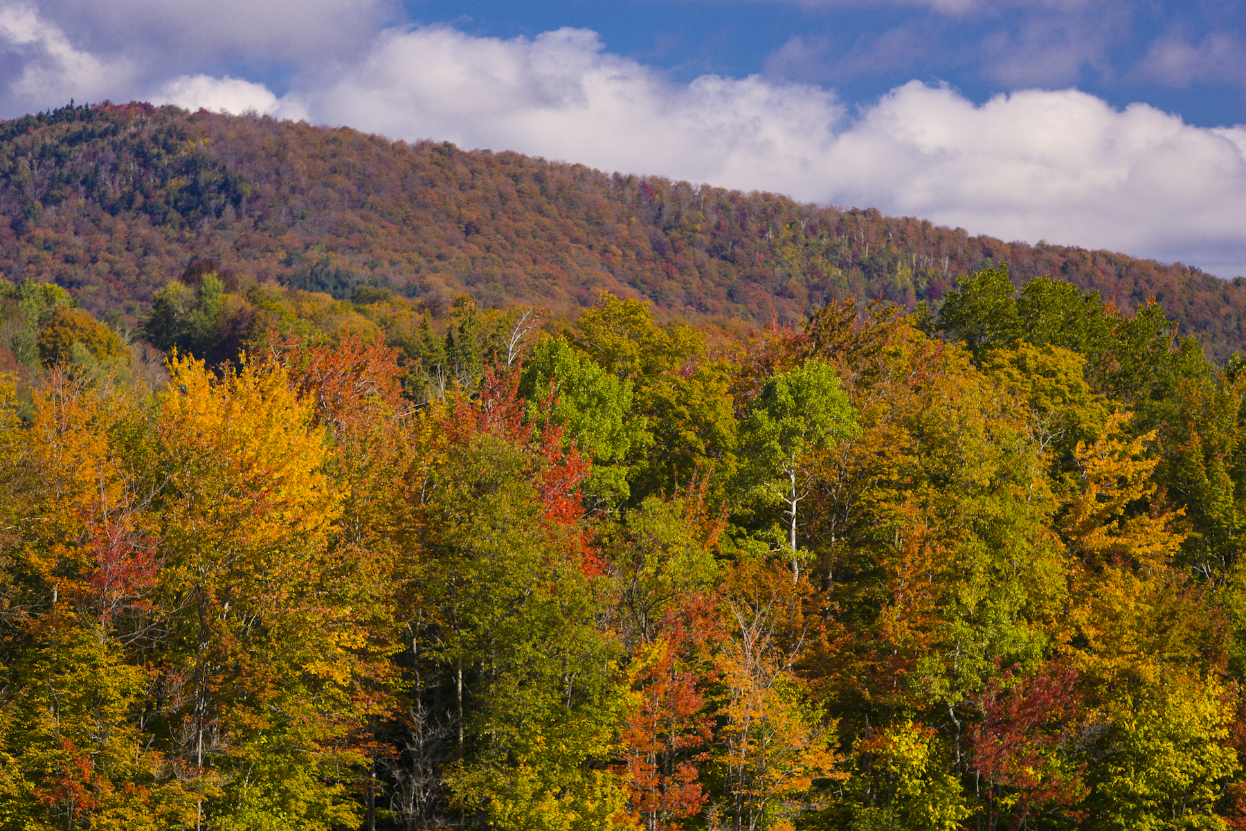 El viaje perfecto para el follaje de Vermont Fall - 17