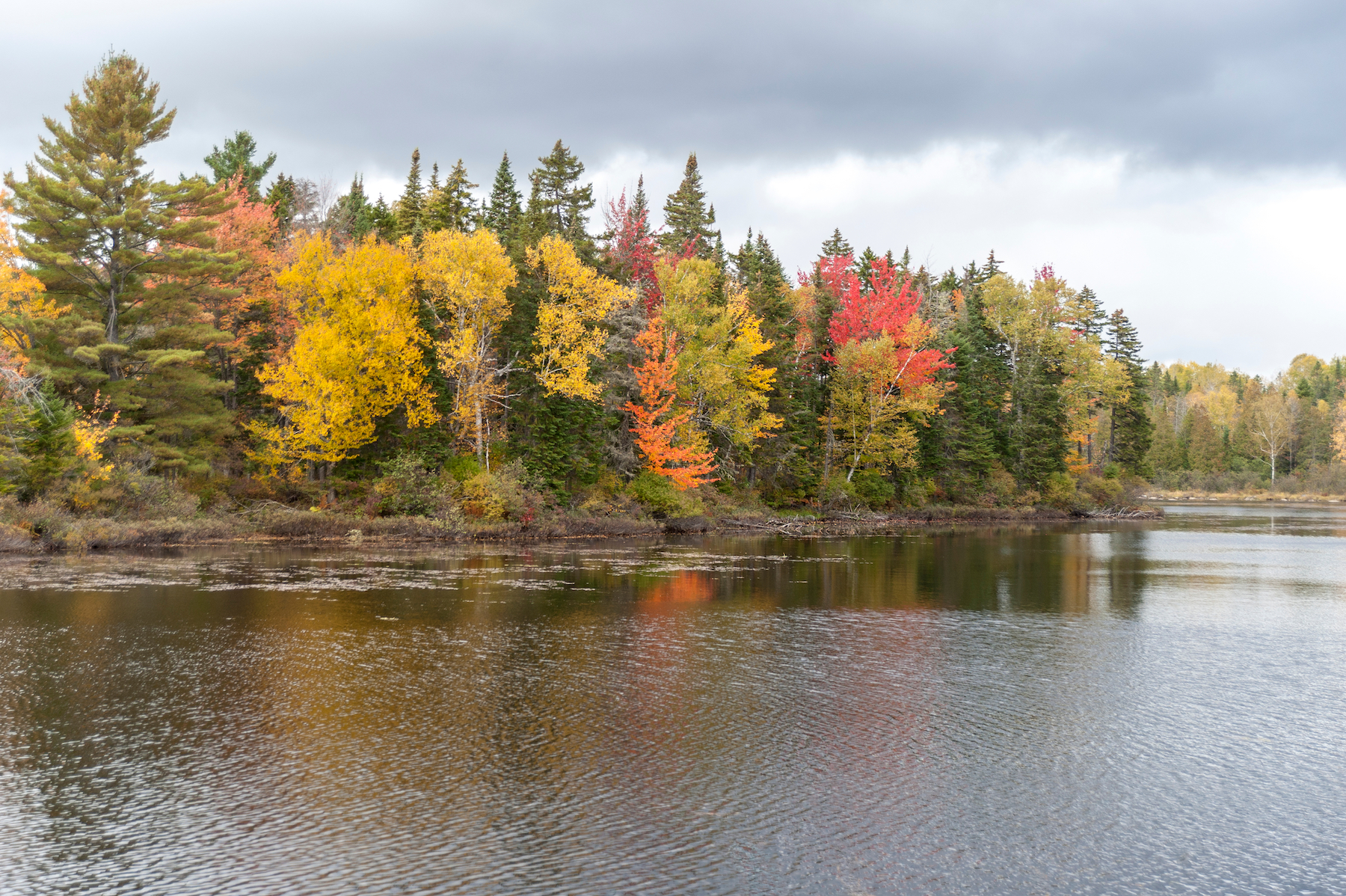 15 mejores paradas durante un viaje por carretera de follaje de otoño de New Hampshire - 29