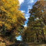 Los lugares más pintorescos para disfrutar del follaje de otoño en Carolina del Norte