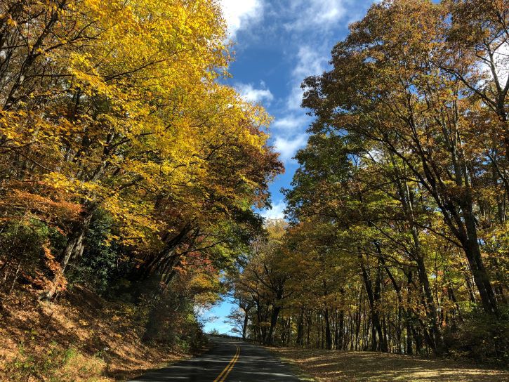 Los lugares más pintorescos para disfrutar del follaje de otoño en Carolina del Norte - 371