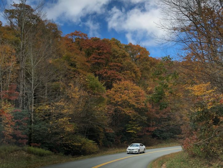 Los lugares más pintorescos para disfrutar del follaje de otoño en Carolina del Norte - 13