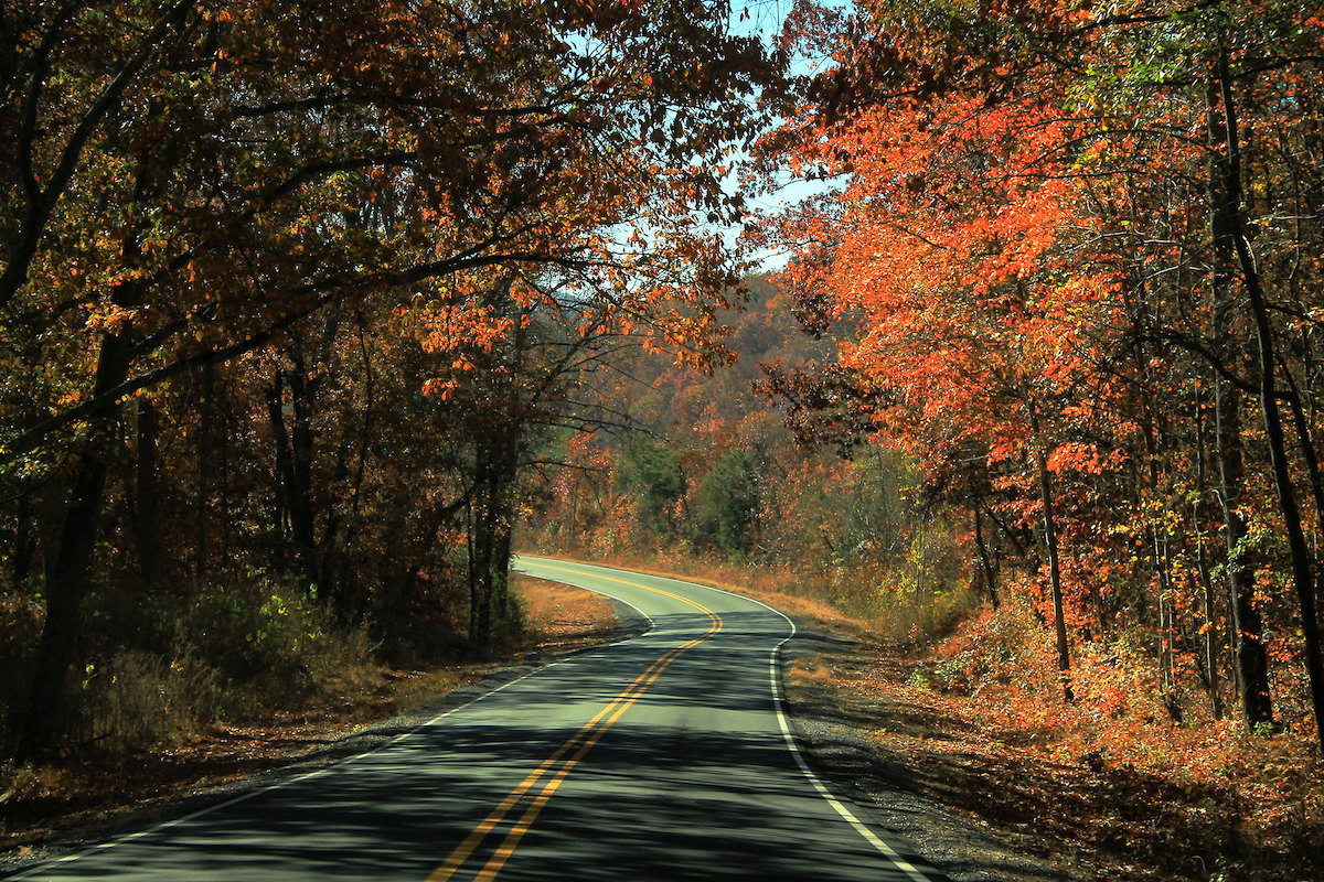 8 mejores lugares para ver el follaje de otoño en Alabama - 9
