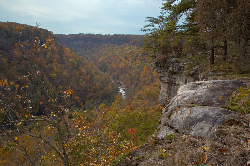 8 mejores lugares para ver el follaje de otoño en Alabama - 11