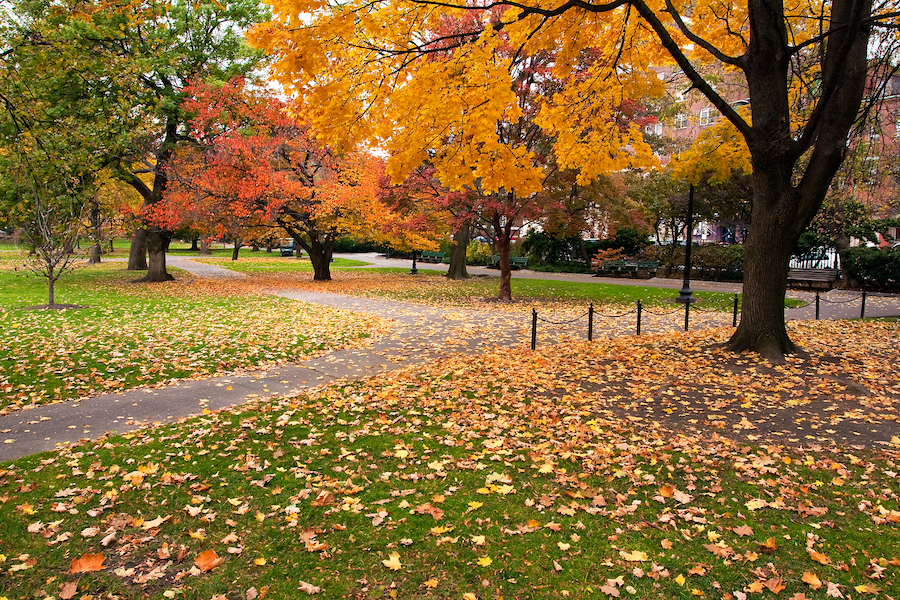 El mejor viaje por carretera de follaje de otoño en Massachusetts - 17