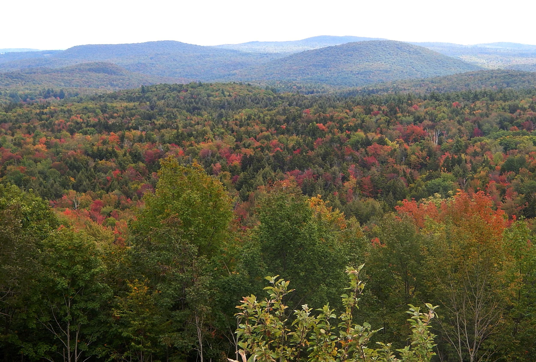 El viaje perfecto para el follaje de Vermont Fall - 11