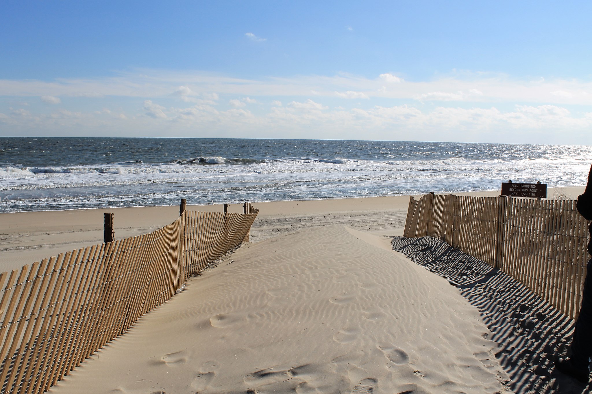 Las mejores y más hermosas playas de Delaware para visitar - 13