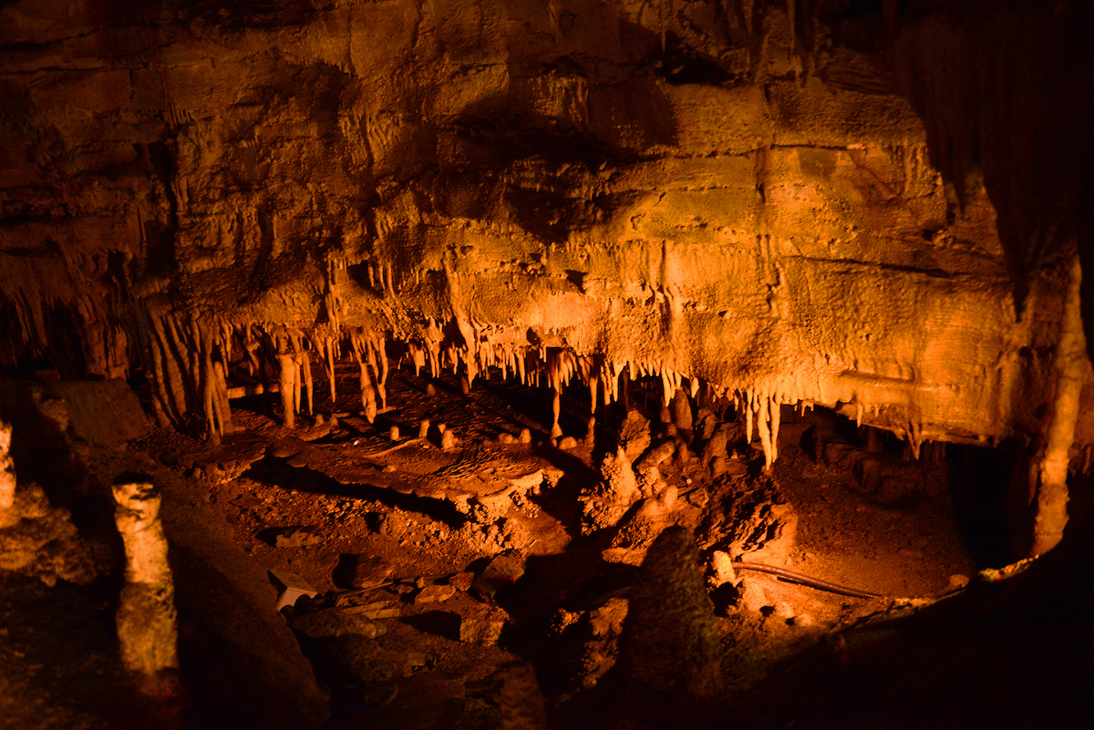 15 mejores cosas que hacer en el Parque Nacional Mammoth Cave - 7