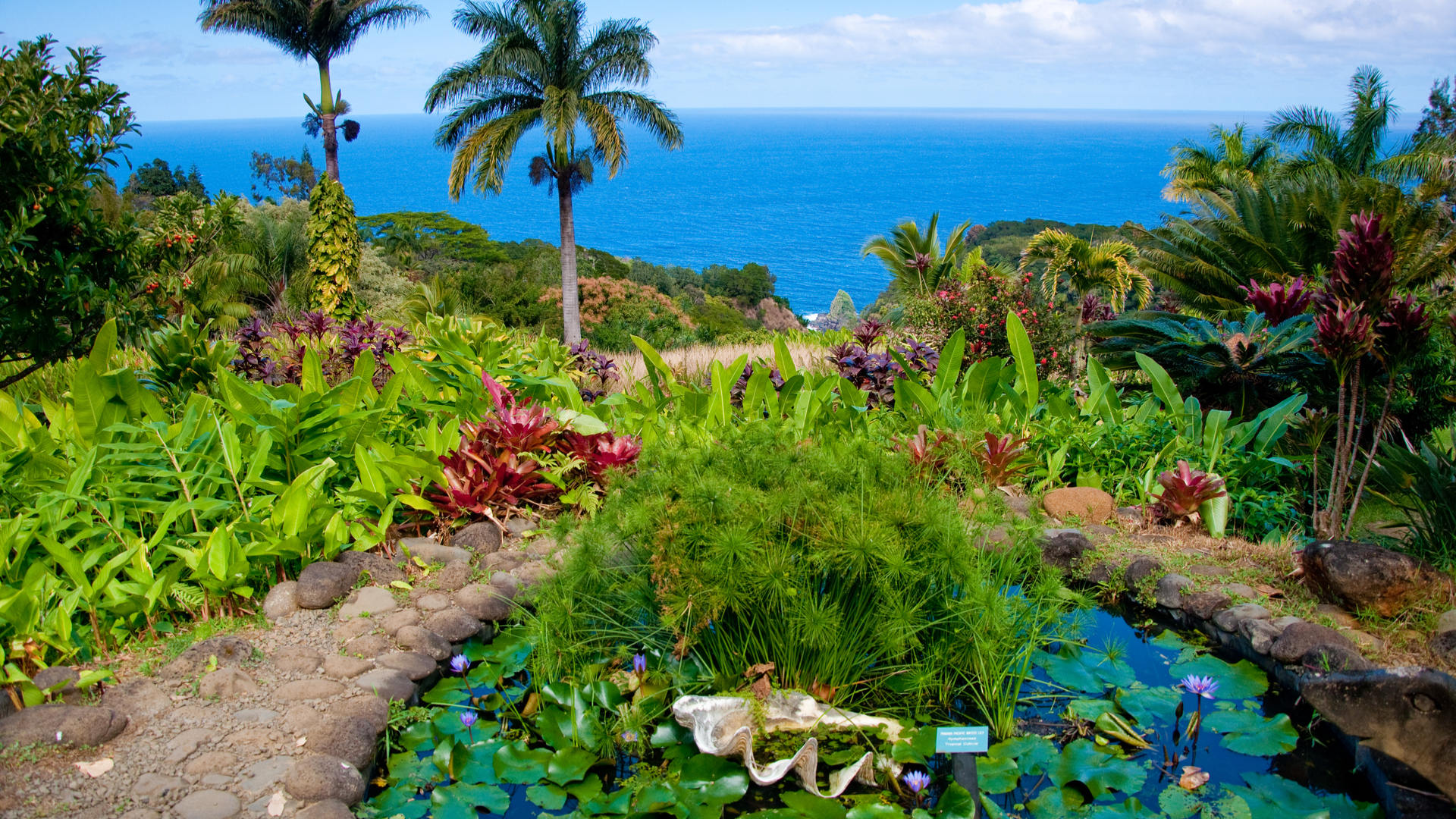Una guía de las mejores islas de Hawai para visitar | Esta web - 7