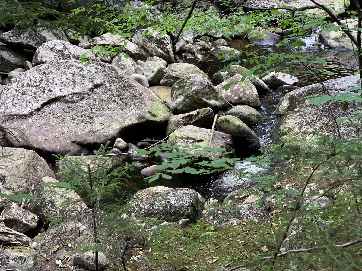 9 mejores caminatas en hermosos New Hampshire - 9