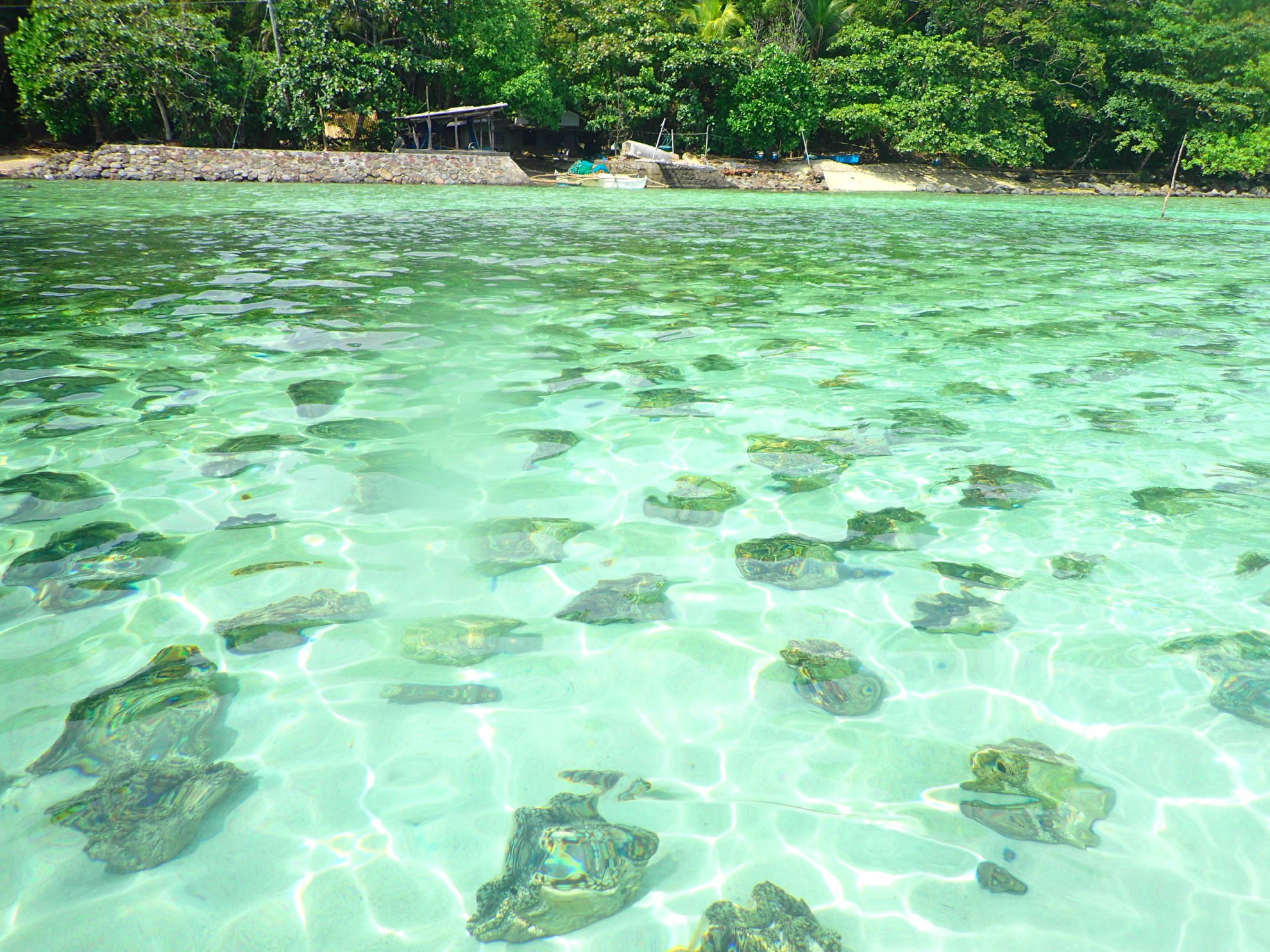 8 razones para visitar la isla Camiguin en Filipinas - 13