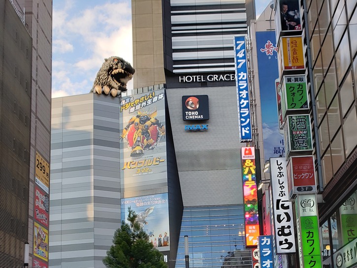 10 grandes cosas gratis para hacer al aire libre en (y alrededor) Tokio - 21