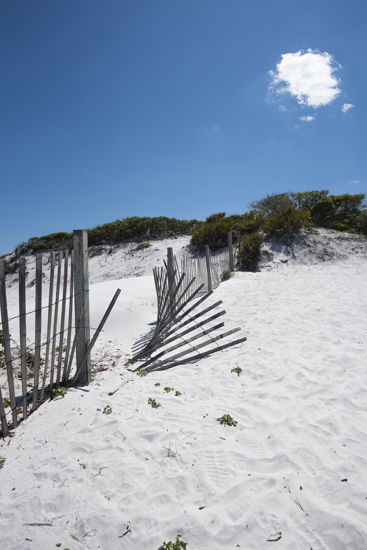 6 hermosas playas para visitar el panhandle de Florida - 7