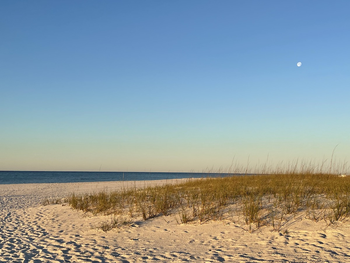 13 hermosas playas en los EE. UU. Nuestros lectores aman (2022) - 21