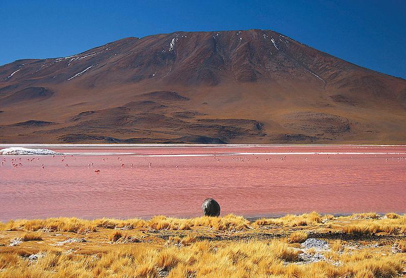 10 mejores lagos rosados ​​del mundo para visitar - 21