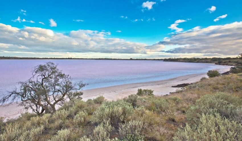 10 mejores lagos rosados ​​del mundo para visitar - 11