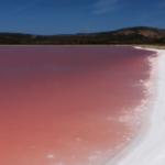 10 mejores lagos rosados ​​del mundo para visitar
