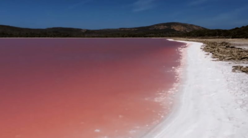 10 mejores lagos rosados ​​del mundo para visitar - 1505