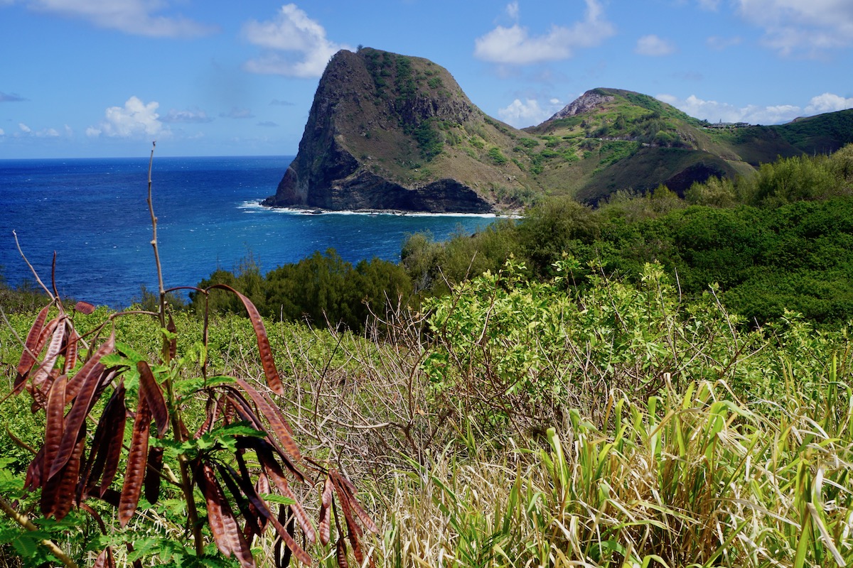 Las mejores cosas para ver y hacer en Maui - 7