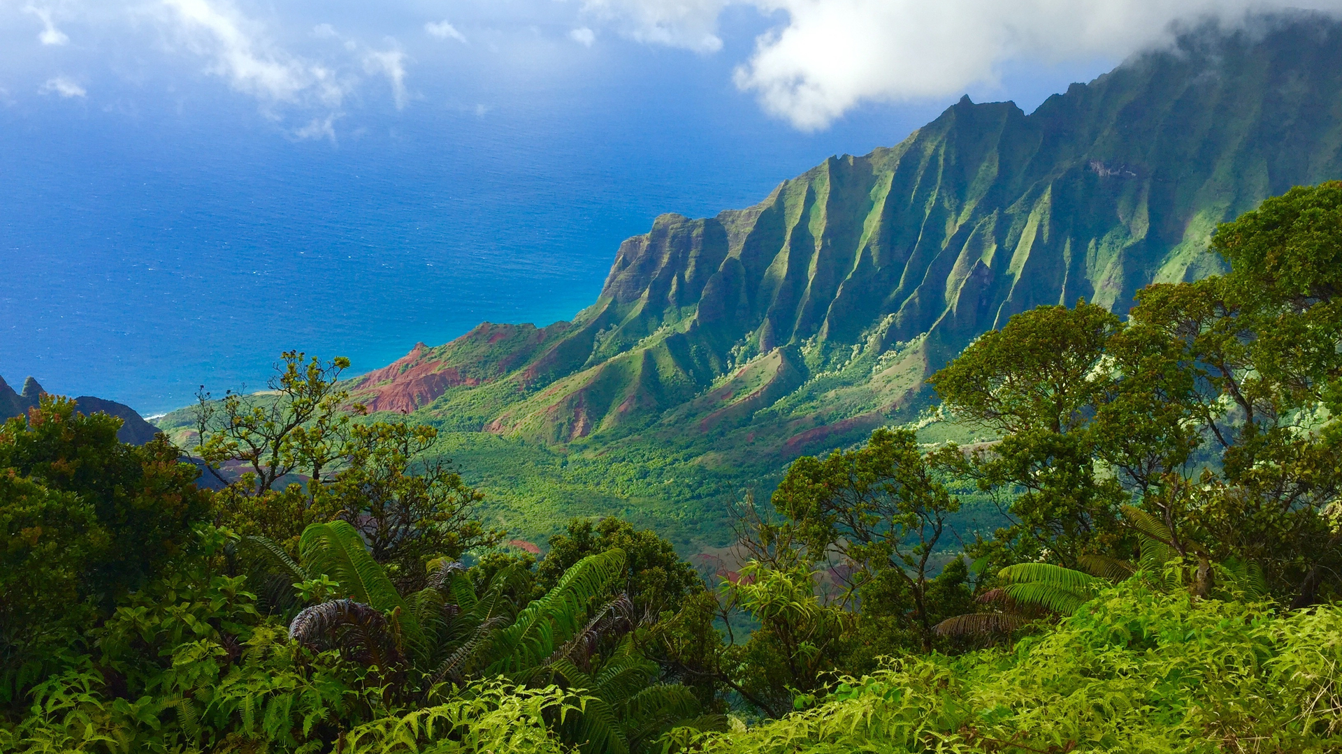 Una guía de las mejores islas de Hawai para visitar | Esta web - 11