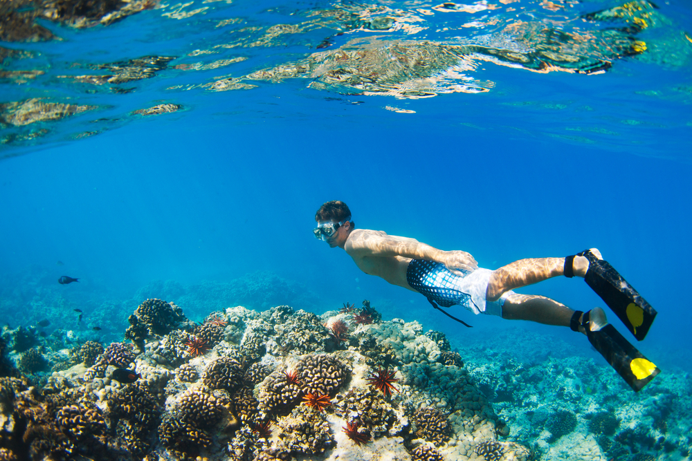 10 mejores lugares de snorkel en el mundo - 25