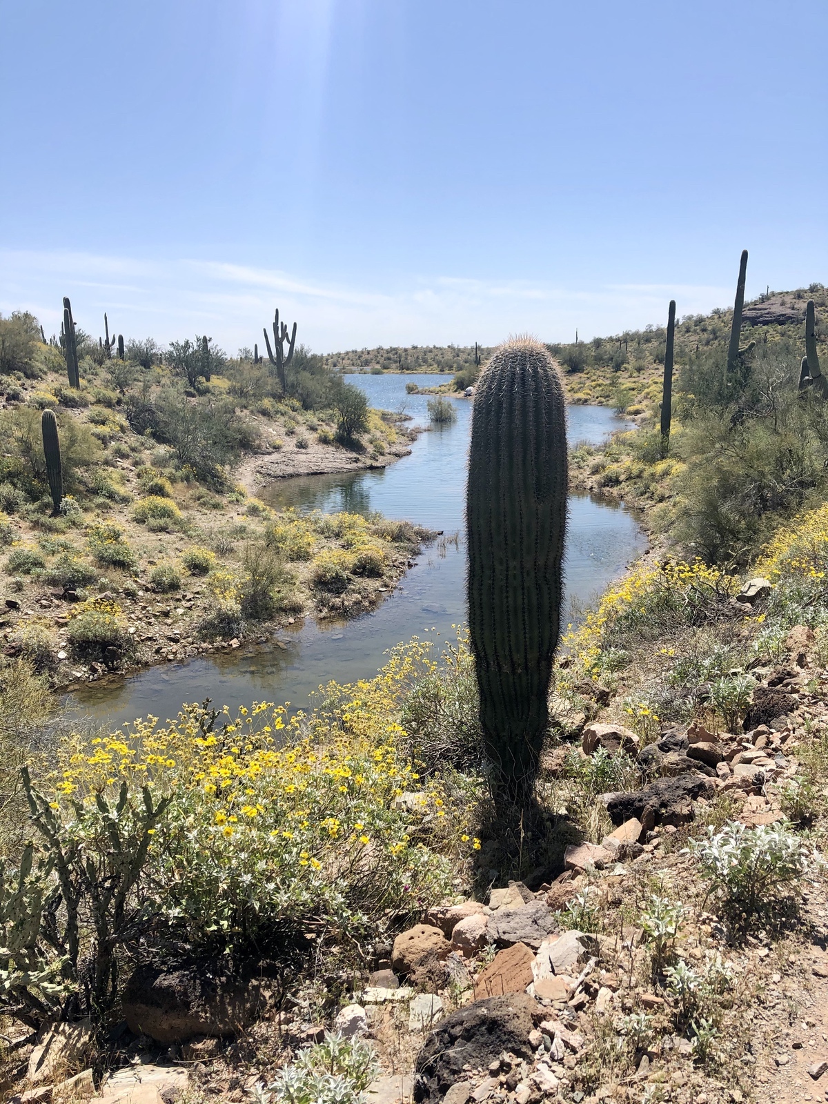Hermosos lagos para explorar en Arizona - 11