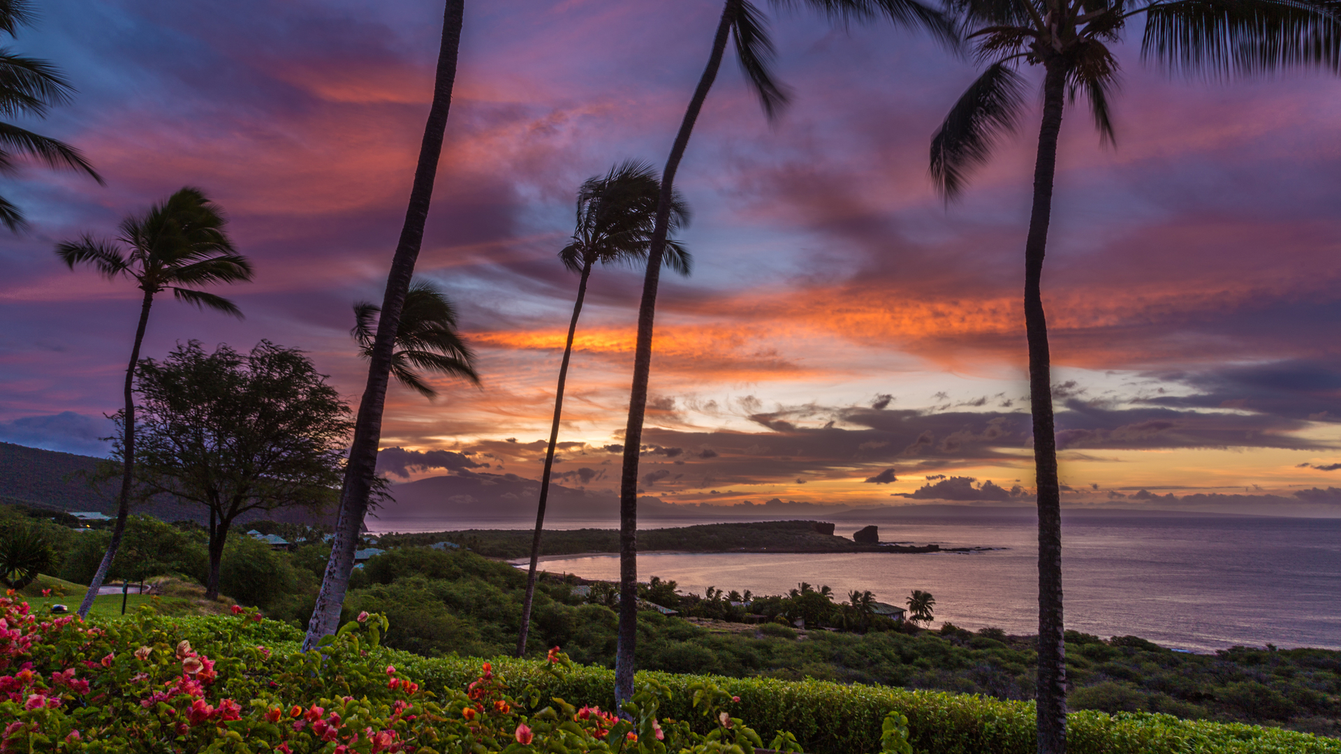 Una guía de las mejores islas de Hawai para visitar | Esta web - 13