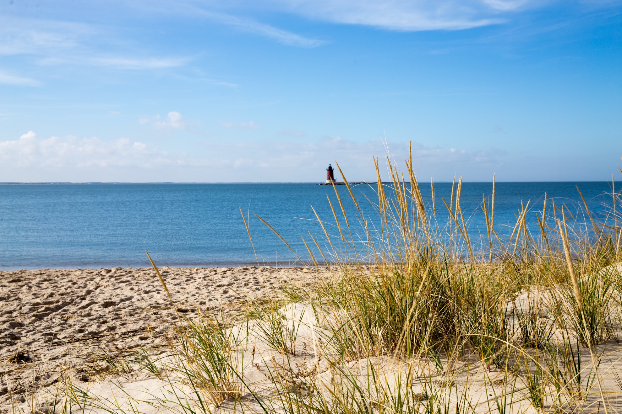 Las mejores y más hermosas playas de Delaware para visitar - 15