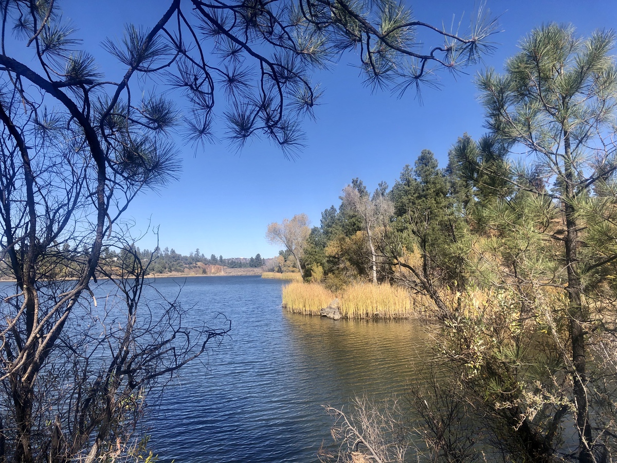 Hermosos lagos para explorar en Arizona - 13