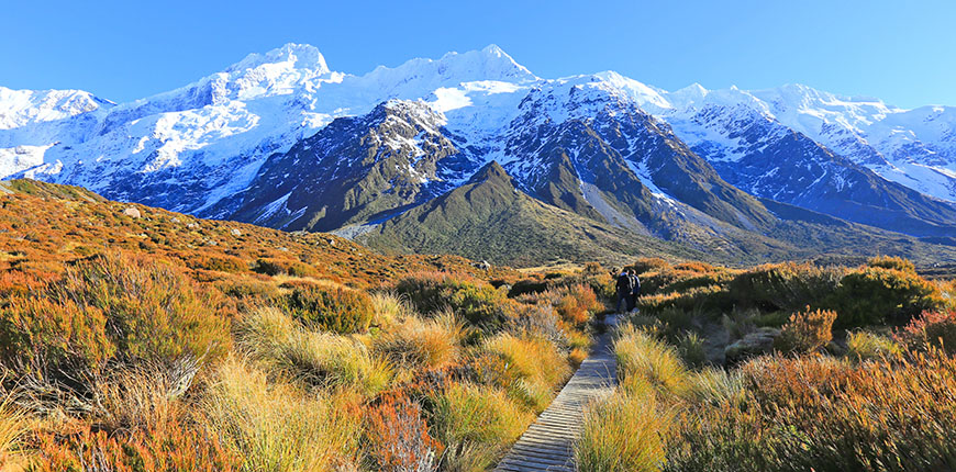 Los 10 mejores lugares para visitar en Nueva Zelanda este año - 41