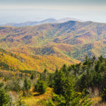 Los mejores parques estatales en las montañas de Carolina del Norte