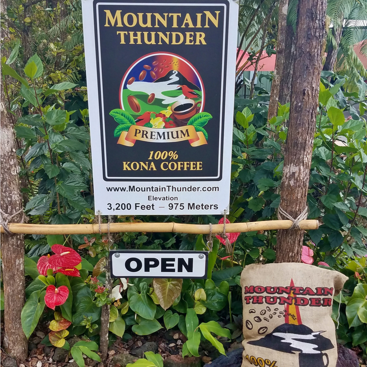 Las mejores granjas de café de la isla grande de Hawaii - 9