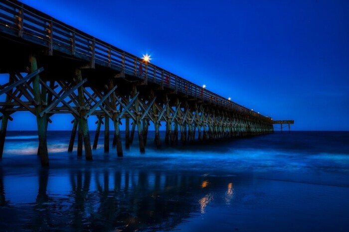 12 mejores playas de Carolina del Sur | Las mejores opciones de escape - 7