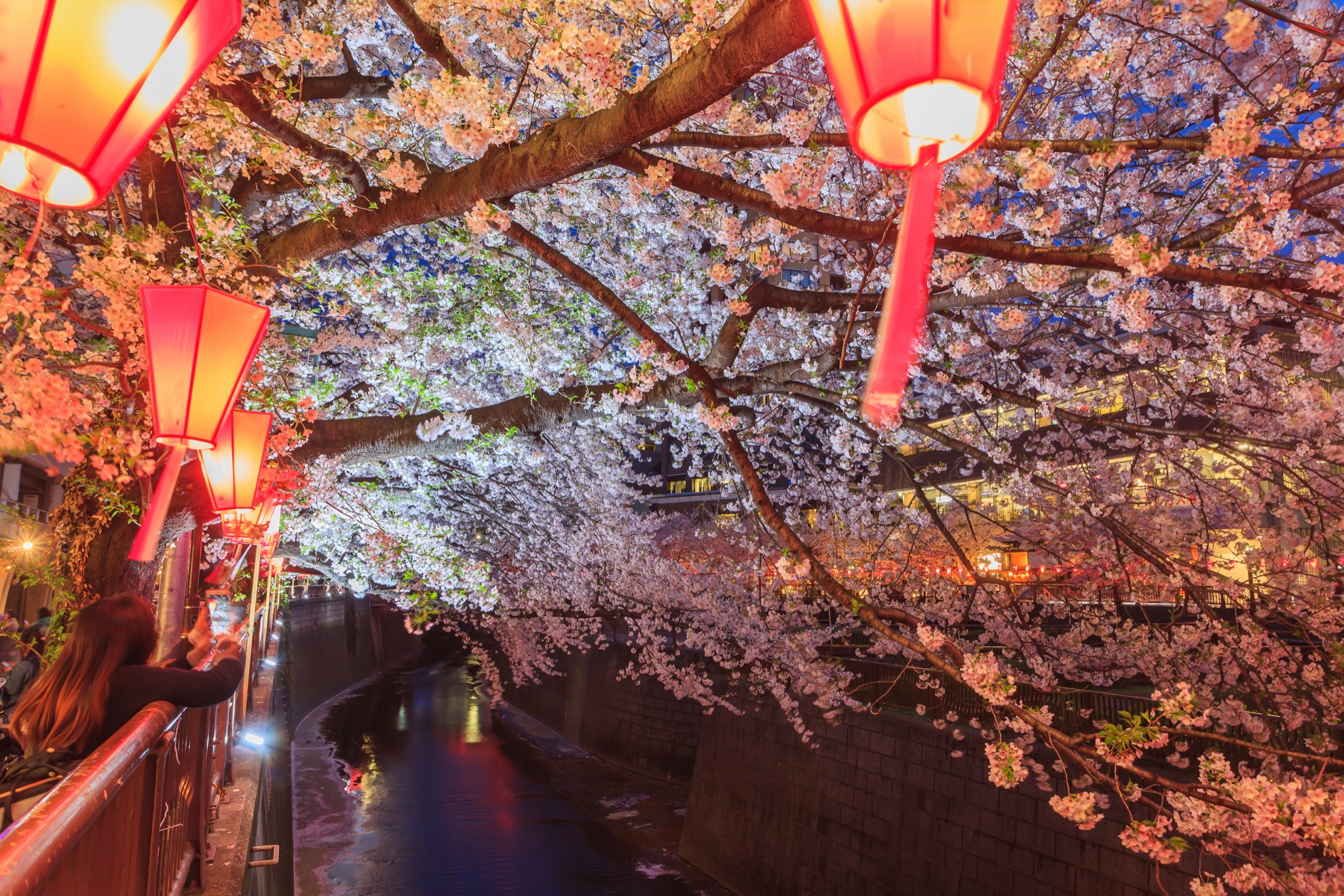 Temporada de Cherry Blossom en Japón: 10 cosas que saber - 13